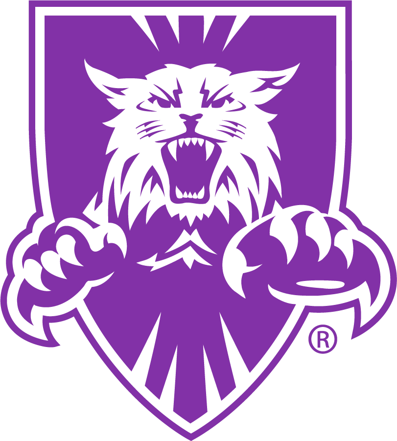 Weber State Wildcats 1996-2012 Alternate Logo v2 diy iron on heat transfer
